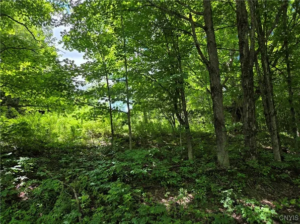 Houseville Gulf Rd, Lowville, NY 13367