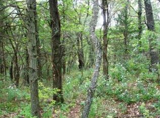 26691 Iroquois Rd, Excello, MO 65247