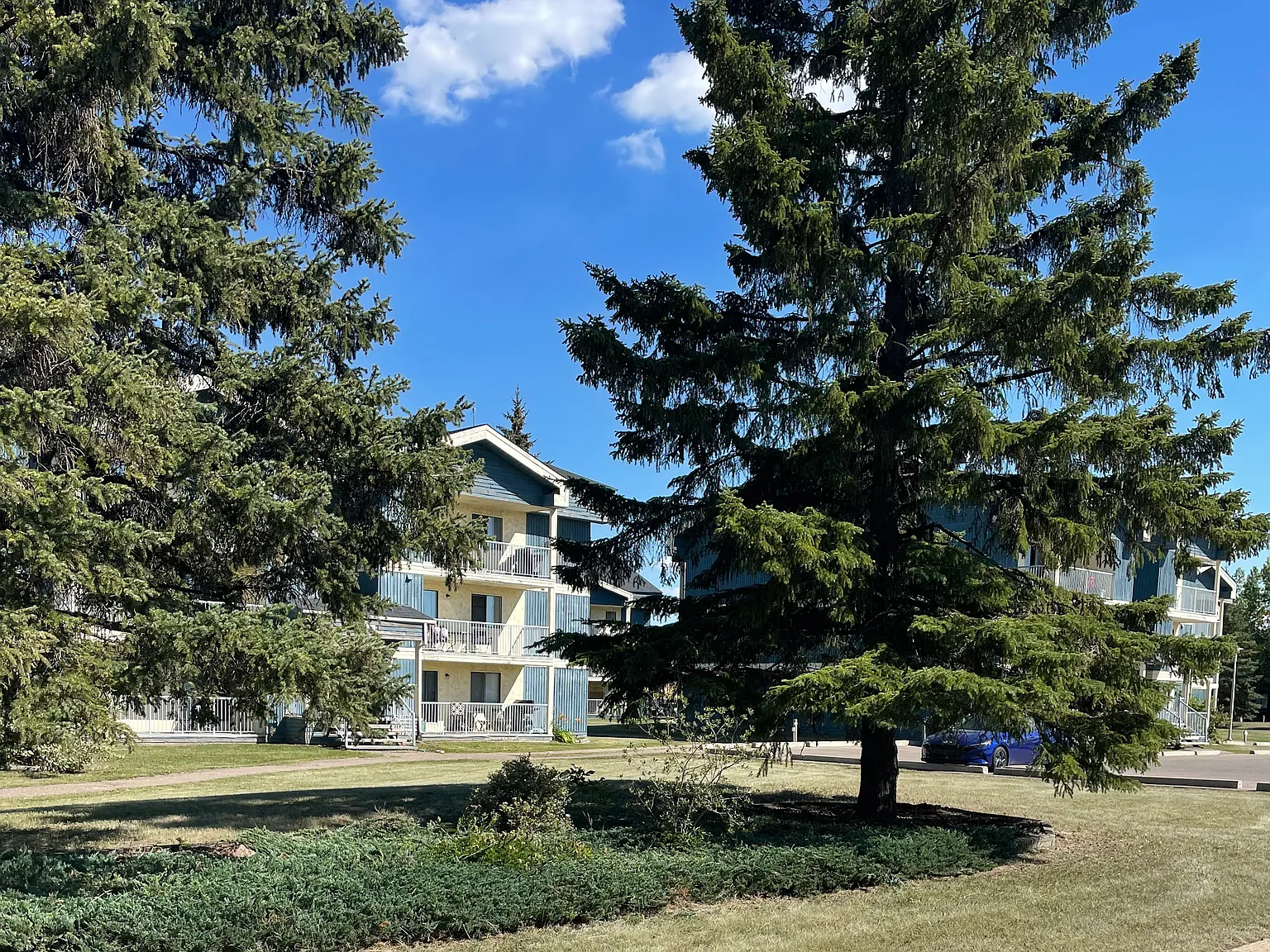 Cedar Manor — Photo 3