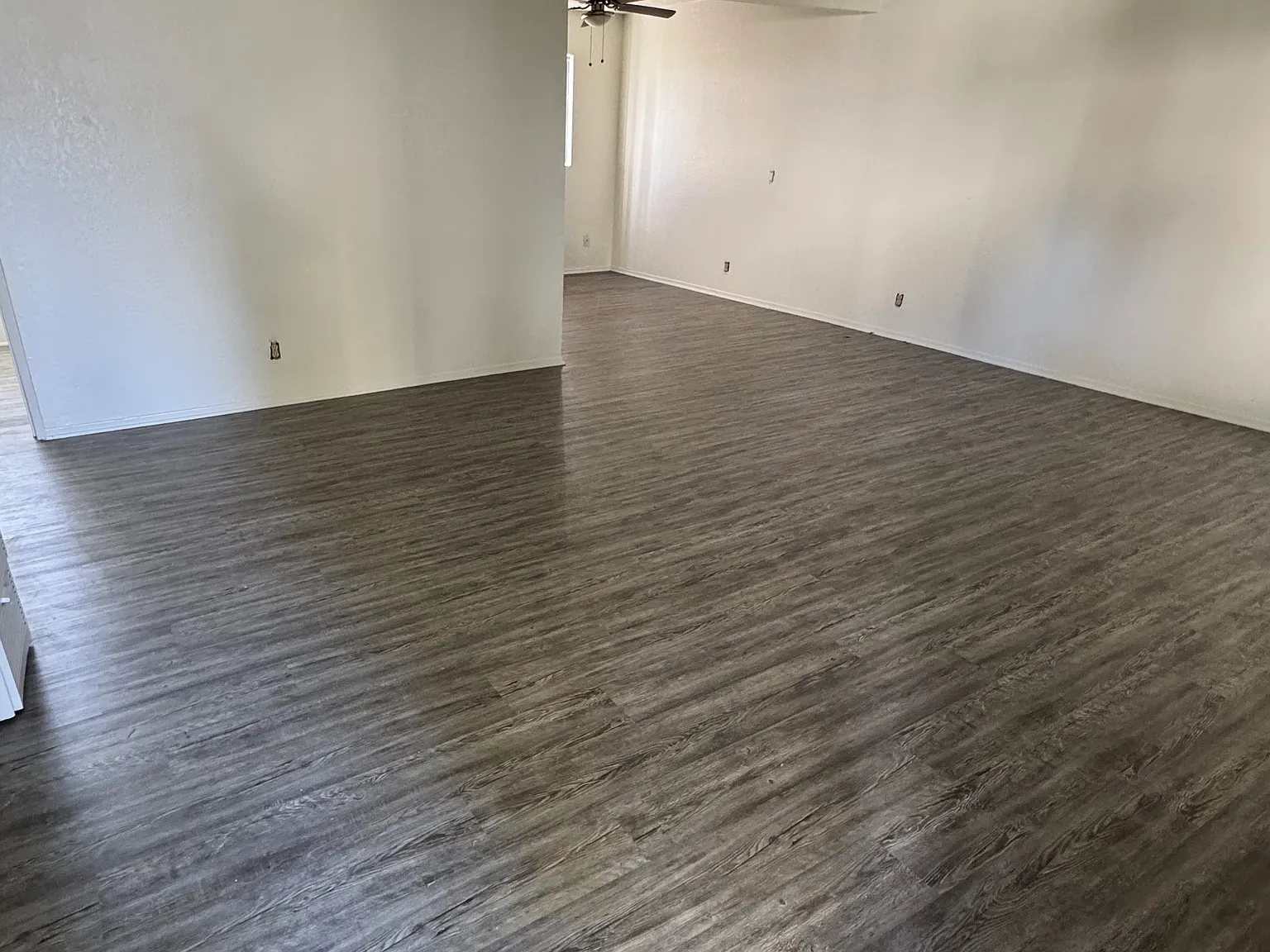 Magnolia Tree Apartments — Photo 2