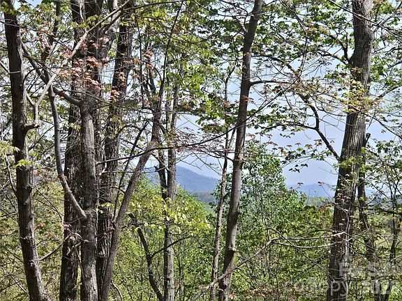 4th image of 36 Turkey Fall Ln