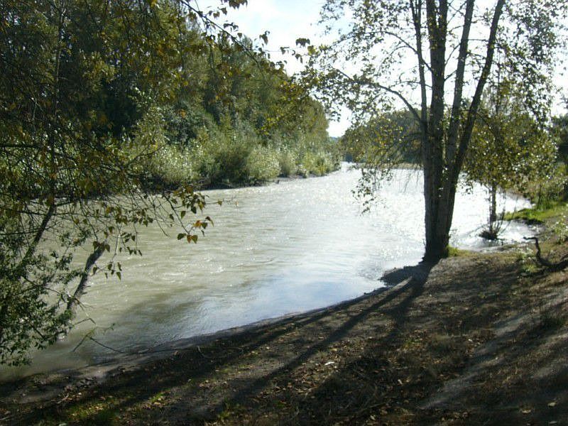 40 feet of low bank river frontage on the White River.