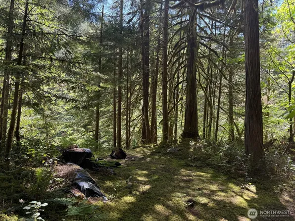 0 L 139 E Cascade Drive, Marblemount, WA 98267