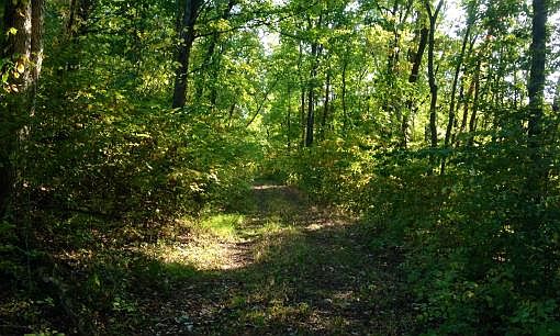 2nd image of 1460 Center Star Rd