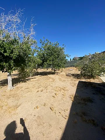 16463 Solvang Ave — Photo 31