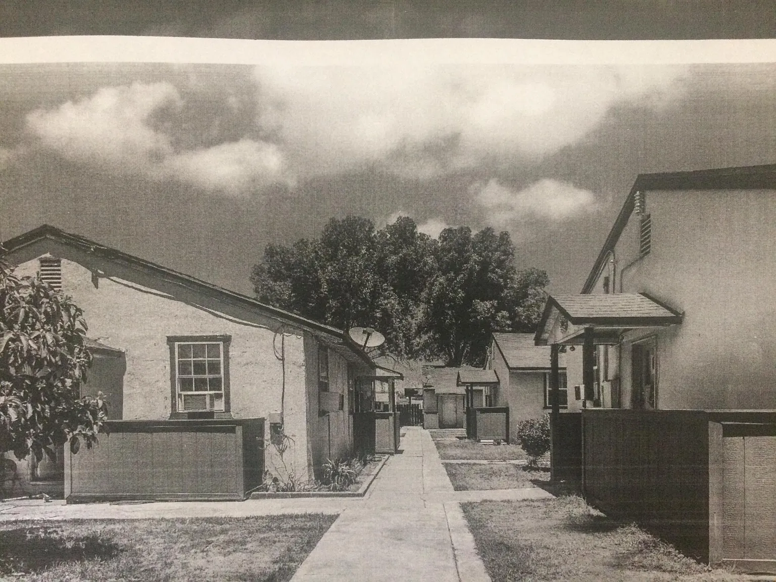 1 bed, $1,299 — Photo 1
