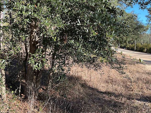 5th image of NE Blue Ridge Landing Ave