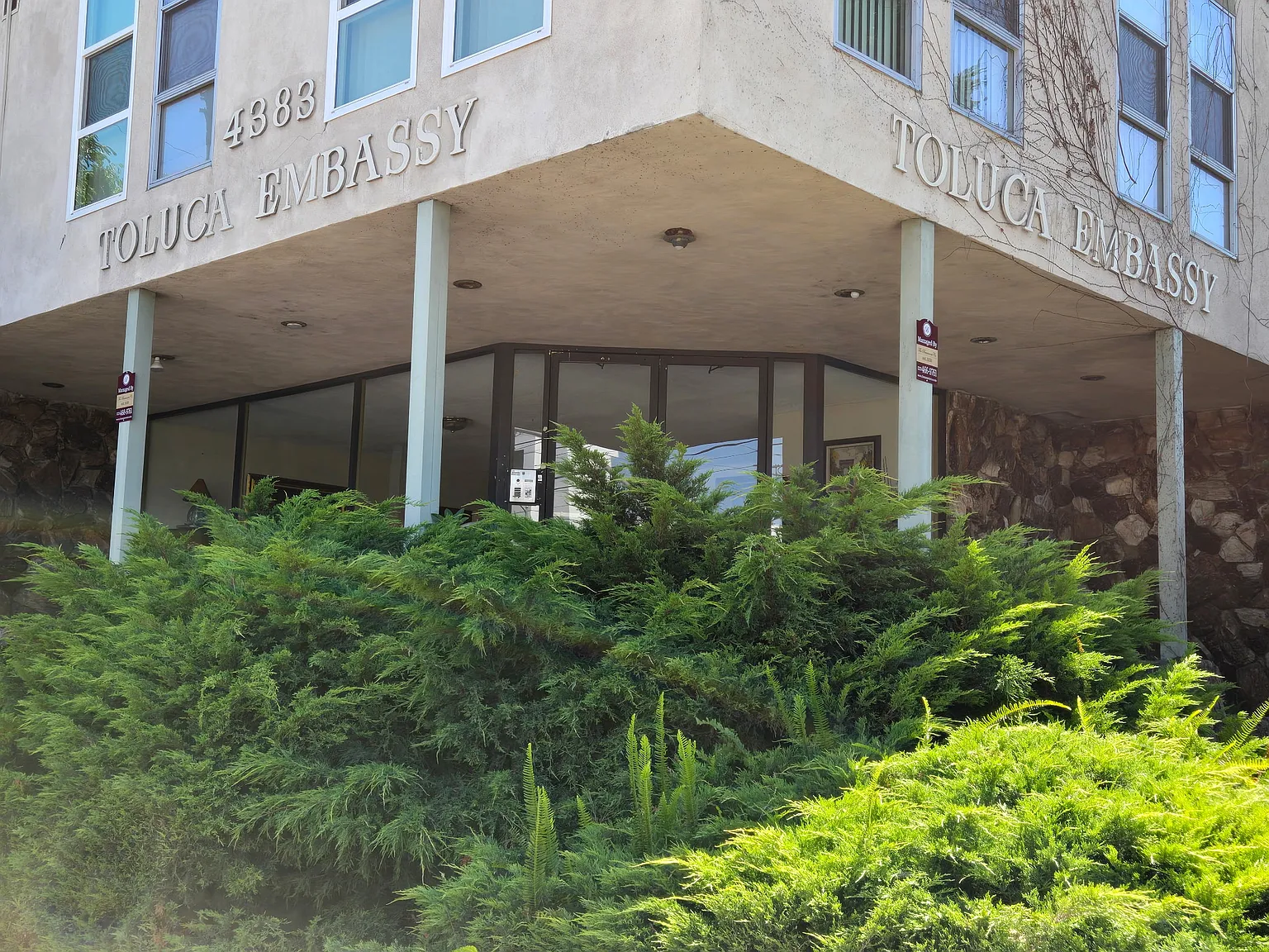 Toluca Embassy — Photo 4