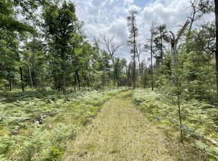 0 W Ten Mile Rd PARCEL G 1, Irons, MI 49644