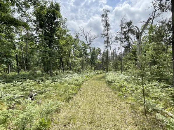 0 W Ten Mile Rd Parcel G 1, Irons, MI 49644