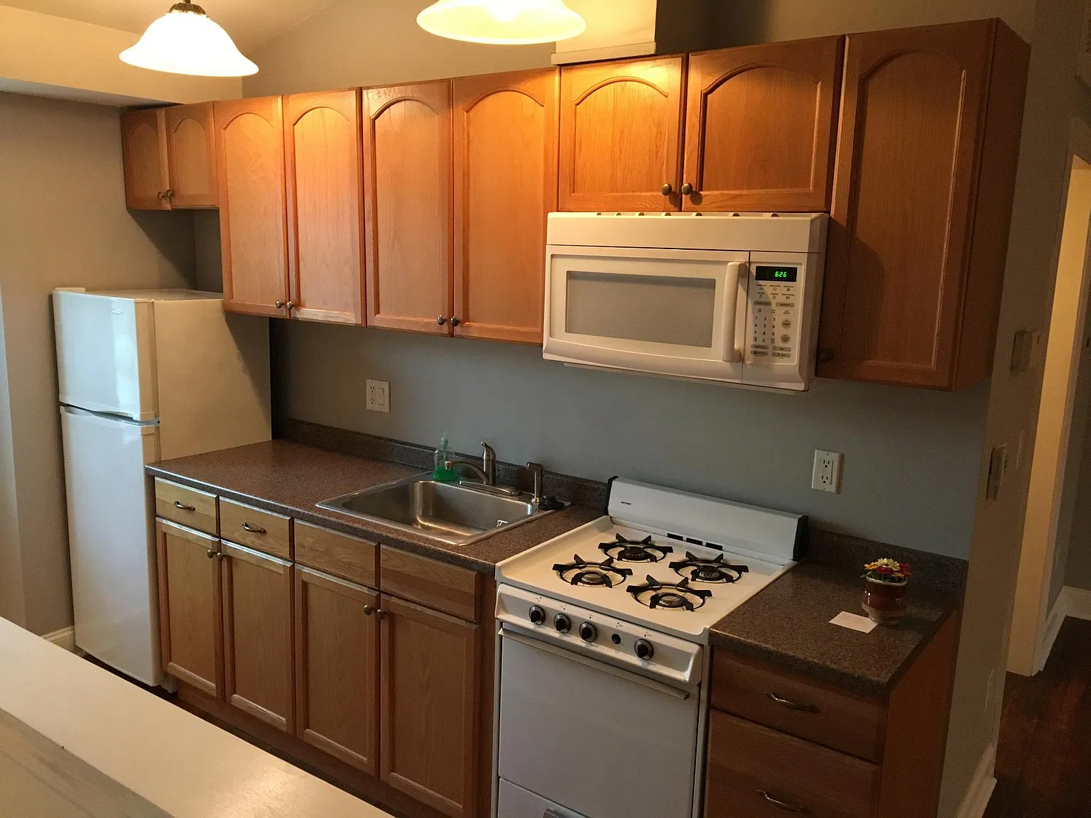 1 bed, 450 sqft, $1,450 — Photo 3