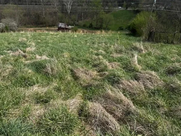 694 Egypt Rd, Bluff City, TN 37618