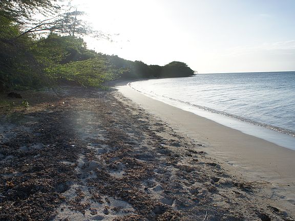 Los Pozos Beach