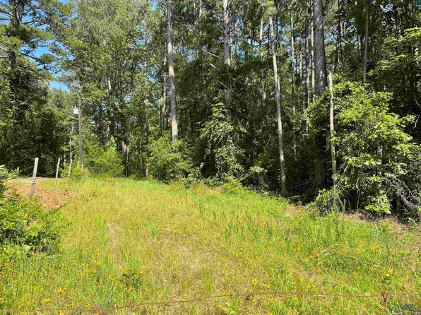 9076 Egrit Rd, Diana, TX 75640