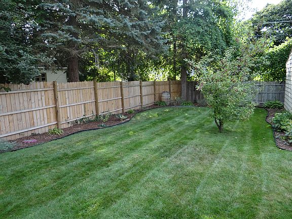 Back yard