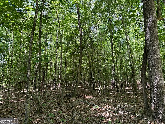 5th image of 10 Long Branch Rd