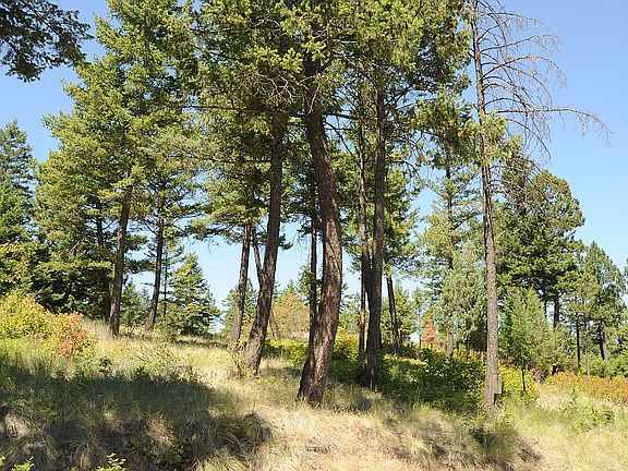 3rd image of 130 Valley Vista Dr