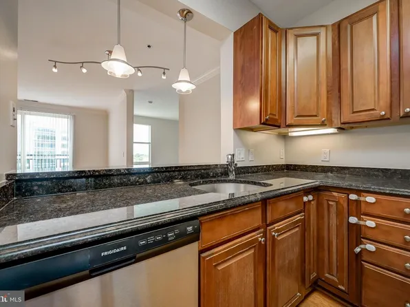 38 Maryland Ave Unit 602, Rockville, MD 20850