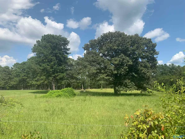 256 Berry Rd, Somerville, AL 35670