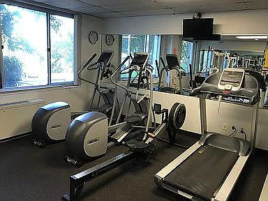 Bikes & Treadmill