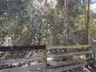4824 Sadler Rd #40, Apopka, FL, 32712