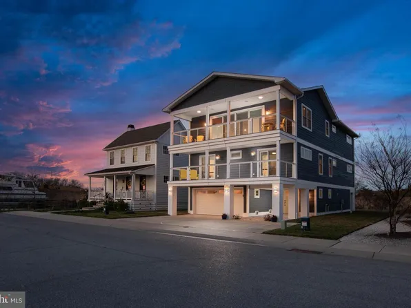 222 Grey Plover Ct, Lewes, DE 19958