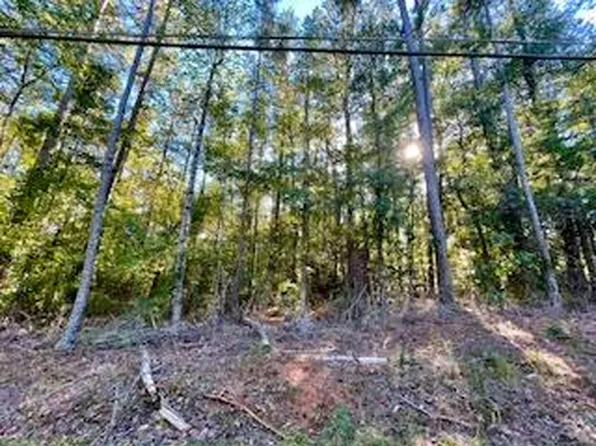 W Pine Lake Dr, West Pt, GA 31833