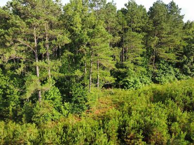 County Road 33, Hermitage, AR, 71647