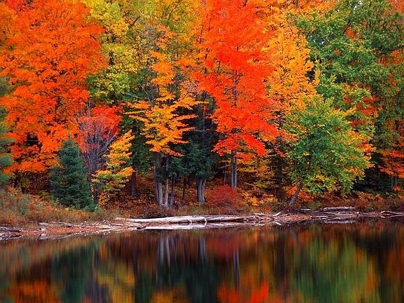 Gorgeous Fall Colors