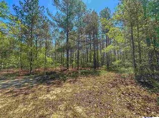 Tbd Brown Ln, Dillon, SC 29536