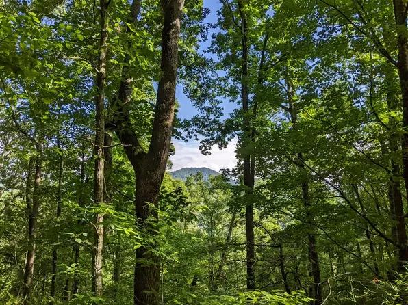 632 Quiet Cove Pl, Sylva, NC 28779