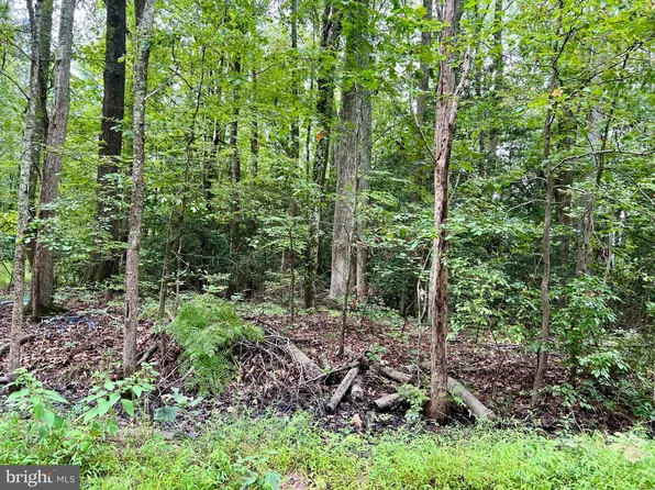 Circle Ln, Colonial Beach, VA 22443