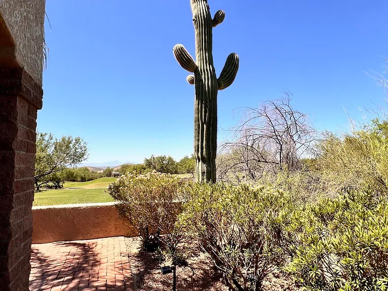 7300 E Calle Alba Serena — Photo 31