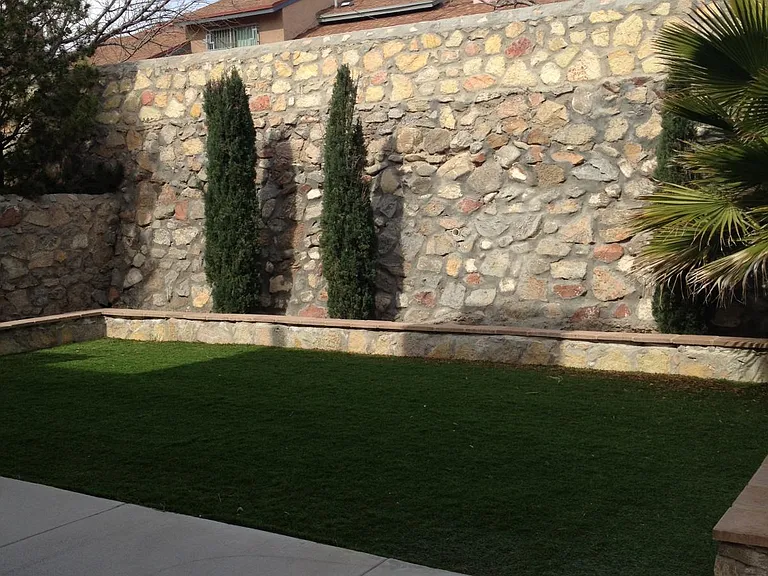 Backyard View 2
