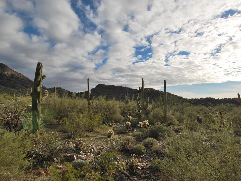 1st image of 11103 E Saguaro Canyon Trl
