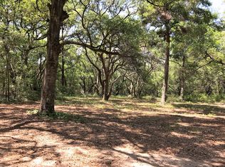 2600 Cherry Point Rd #LAND, Wadmalaw Island, SC 29487