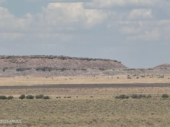 3 Lots in Carrizo Ranch -- #342, 346 & 347, St Johns, AZ 85936