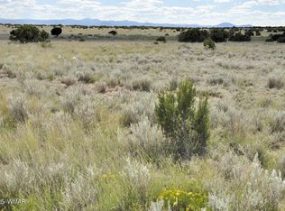 232 Acres River Springs Rnch, Saint Johns, AZ 85936