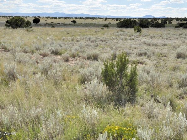 232 Acres River Springs Rnch, Saint Johns, AZ 85936