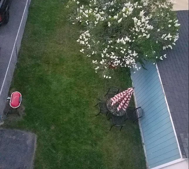 Side Yard