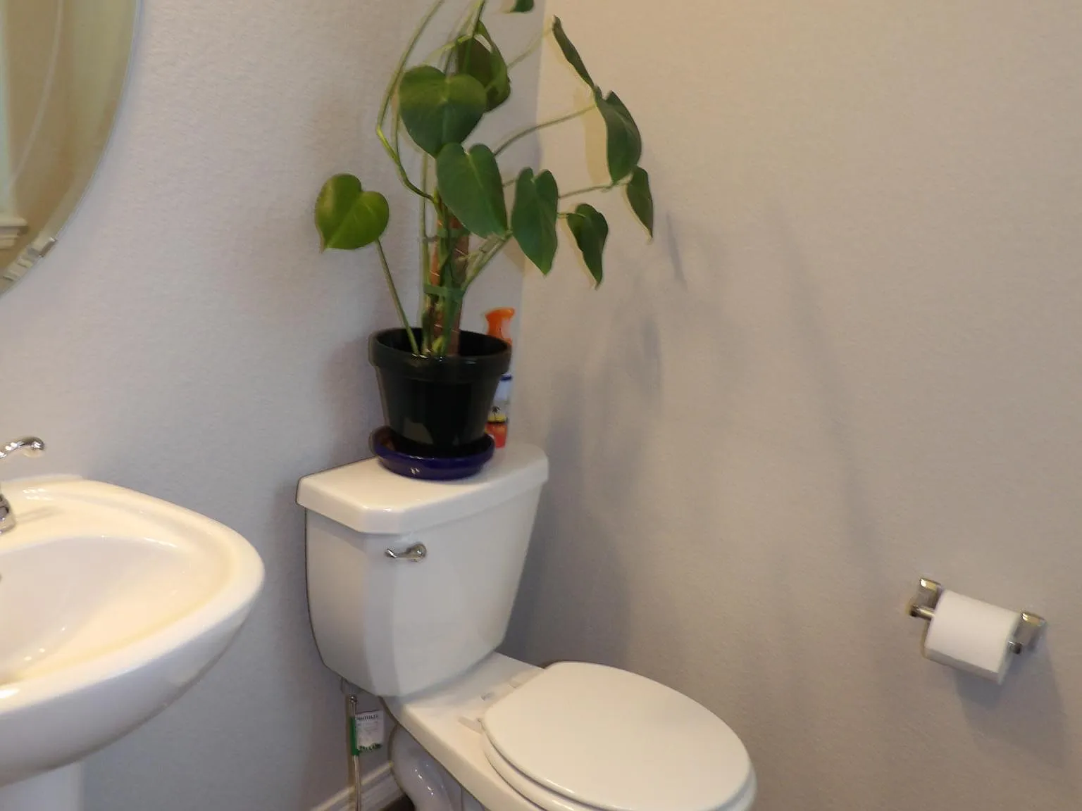 4 bed, 2.5 bath, 1700 sqft, $2,500 — Photo 4