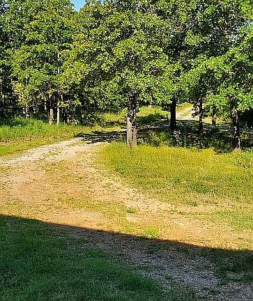 tree lined drive to gate
