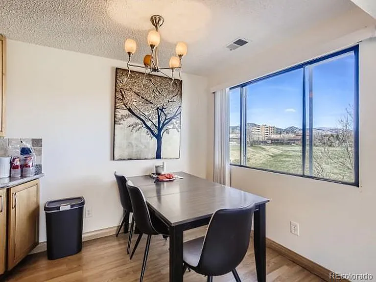NICE SIZE DINING ROOM W/GREAT LIGHTING. (This window has been replaced)