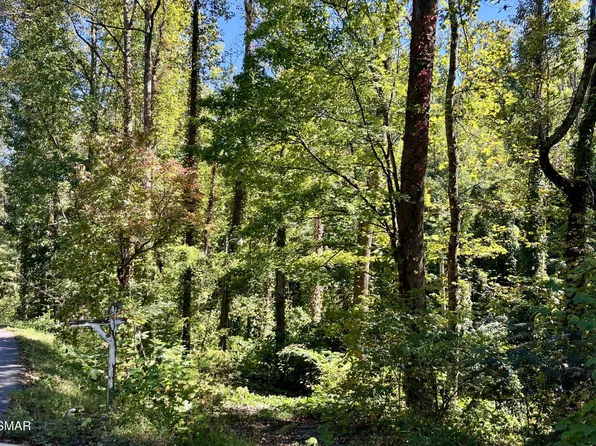 3637 Cool Creek Rd Lot 36-37, Sevierville, TN 37862