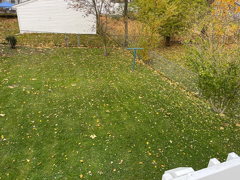 2011 Eckener Dr — Photo 16