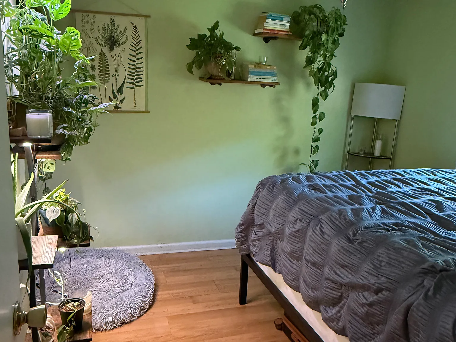 2 bed, 960 sqft, $1,700 — Photo 1