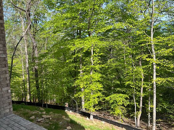 Views of the Rear Yard.