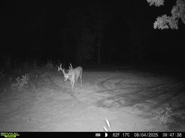 1st image of 0 N Ribbon Rd