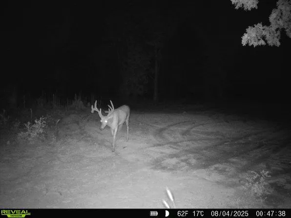 0 N Ribbon Rd, Milan, MO 63556