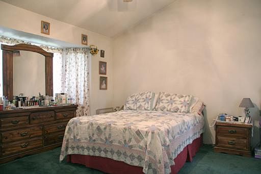 5th image of 8311 BRAES POINT DR